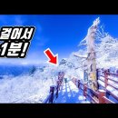 🚌 땀 한방울 흘리지 않고 편하게 가는 '1,500미터' 설산 트레킹 코스! |🚶‍♂️걸어서 1분 도착 | 📸 대중교통 당일치기 이미지