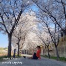 하양지구4 | 하양헬스장,하양PT) 믿고 맡기는 전문 퍼스널 트레이닝💪 [알로하피트니스]