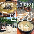 도현농장 네이버블로그