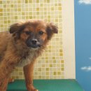 아산만로 이미지