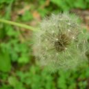 진재공원