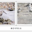 낭만낭도어촌체험휴양마을 이미지