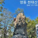 영동 천태산 등산코스 암릉산행 영국사 은행나무 100대 명산 가을 산행지 추천