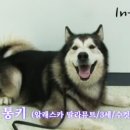깜짝 한국일보