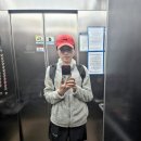 뽀말 | 2026년 영남일보국제하프마라톤대회후기(2026.4.12), 첫 하프 도전 대회, 혼자 뛰어도 좋더라.