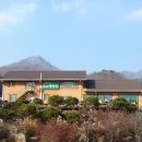 용문산허브찜질방 이미지