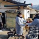 장성여자고등학교 이미지