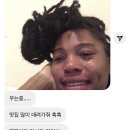 푸가 세마리면?