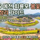 2025 회룡포 봄꽃축제 네이버블로그