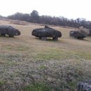 제주돌박물관 이미지