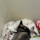 마리앤쥬 이미지