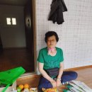 둥지식품 이미지
