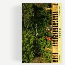 「무정형의 삶」 북토크 이미지