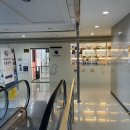 [내돈내산] 반려동물을 위한 공간, 마린파크 동물병원 후기