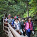 마성초등학교 이미지