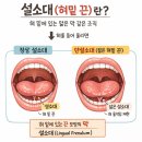 박내과의원 | 신생아 설소대 시술 후기｜단설소대, 조리원 퇴소 전 다녀왔어요