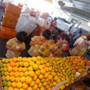 서귀포오일시장-3 이미지