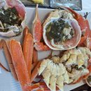 영덕대게물회전문 | 영덕대게 맛집 축산항대게궁 영덕코스요리전문