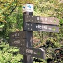 소백산삼가야영장 이미지