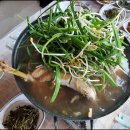 황금닭집 이미지