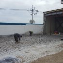 장항주유소 이미지