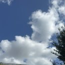 오얏리스테이B | 통영여행 숙소추천 오얏리스테이 강추 후기(예약, 위치)