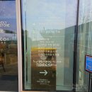 펫라운지 애견유치원 애견호텔 애견미용 이미지