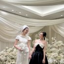 제시카 카카오 검색결과