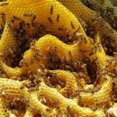 김용수농장 이미지