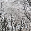 윗사기막 이미지