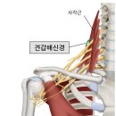 경희배한의원 이미지