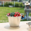 도그앤도그 이미지