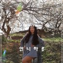 워니하루 이미지
