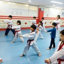 반송월드태권도 이미지