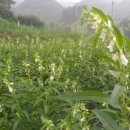 순일농장 이미지