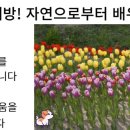 행복을주는행정사 이미지