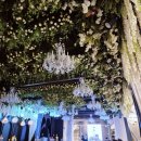 네이처스토리 | 발산역결혼식장 더 베뉴지 서울 네이처홀 드디어 계약하고 왔어요~