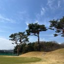 마린골프연습장 | 울진골프연습장 뷰까지 완벽했던 마린어프로치클럽 후기