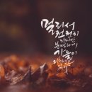 책 속 좋은 글귀 캘리그라피 이미지