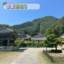 반야사불상 | 충북 영동 조용한 산사 여행, 백화산 자락의 반야사, 배롱나무