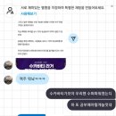 슈팅오락실(안양일번가점) | 250222 FC안양 VS FC서울 직관 후기