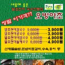 오방야초 네이버블로그