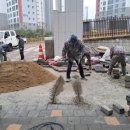 청림초등학교 이미지