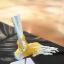 감성피티 | 대연동 PT 감성피티 4회차 발바닥 아치 교정 시작