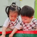 덕천어린이집 이미지