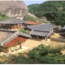 운장산 홍삼