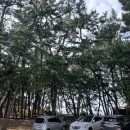 솔밭해안가펜션 이미지