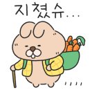 꼰미고 이미지