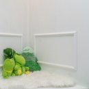 의정부 애견호텔 SM펫살롱 이미지