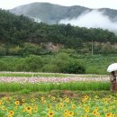 더좋은생각